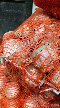 【新鮮蒜廠家直銷2017跑江湖地攤熱賣農家大蒜10元3斤模式新鮮大蒜SC12343456SC1234 3456】金牛區坤億商貿部 - 產品庫