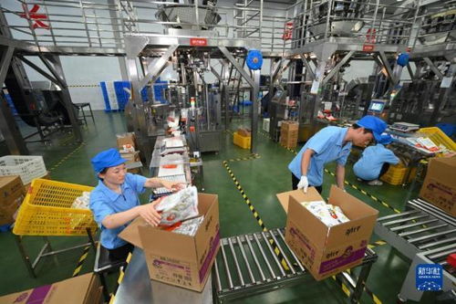 中國首次進口肯尼亞野生鳀魚產品亮相中非經貿博覽會